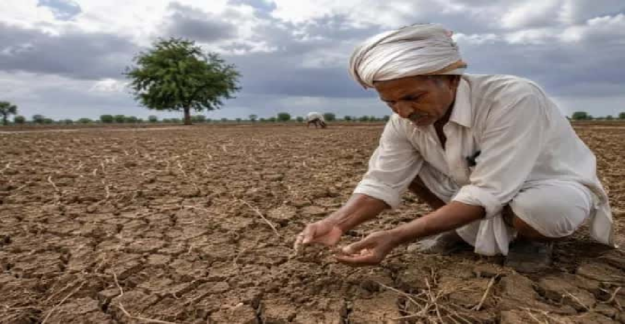 सूख गई किसानों की फसलें! भजनलाल सरकार ने जारी किया आपातकालीन नोटिफिकेशन